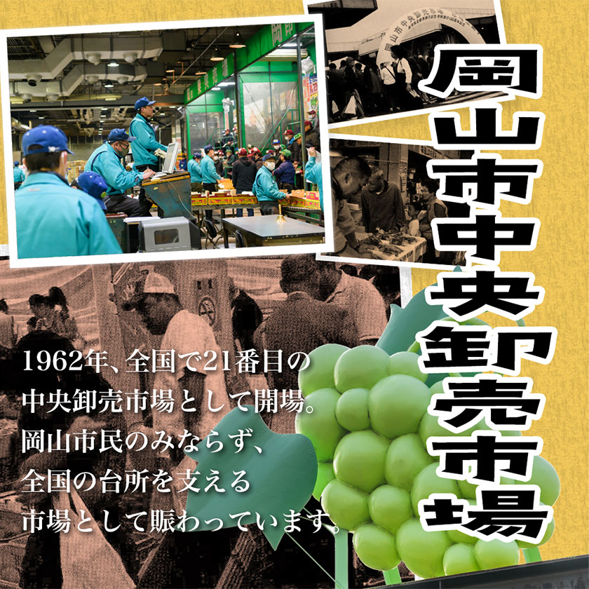 岡山県浅口市のふるさと納税 【2025年先行予約】シャインマスカット晴王 はれおう 2房(1房600g以上) 化粧箱入 株式会社山博(中本青果)《2025年8月下旬-10月中旬頃出荷》岡山県 浅口市 シャインマスカット 晴王 ぶどう マスカット 大粒 フルーツ 秀品 果物 ギフト 国産 岡山県産 送料無料 【配送不可地域あり】