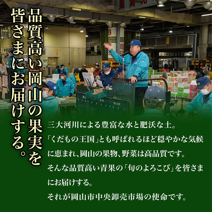 岡山県浅口市のふるさと納税 【2025年先行予約】シャインマスカット晴王 はれおう 2房(1房600g以上) 化粧箱入 株式会社山博(中本青果)《2025年8月下旬-10月中旬頃出荷》岡山県 浅口市 シャインマスカット 晴王 ぶどう マスカット 大粒 フルーツ 秀品 果物 ギフト 国産 岡山県産 送料無料 【配送不可地域あり】