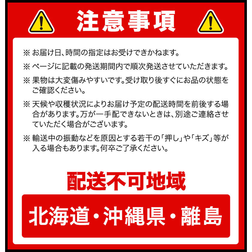 岡山県浅口市のふるさと納税 【2025年先行予約】シャインマスカット晴王 はれおう 2房(1房600g以上) 化粧箱入 株式会社山博(中本青果)《2025年8月下旬-10月中旬頃出荷》岡山県 浅口市 シャインマスカット 晴王 ぶどう マスカット 大粒 フルーツ 秀品 果物 ギフト 国産 岡山県産 送料無料 【配送不可地域あり】