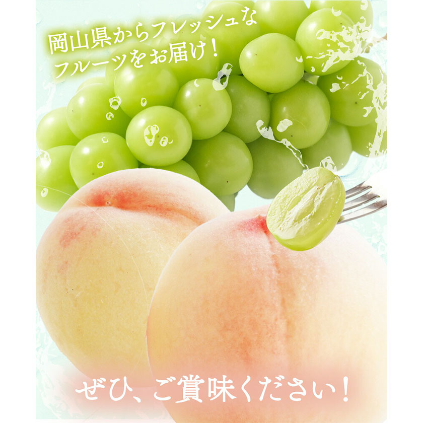 岡山県浅口市のふるさと納税 【2025年先行予約】詰合 白桃（1玉220g以上）2玉・シャインマスカット晴王（1房480g以上）2房 化粧箱入り 株式会社山博(中本青果)《2025年7月下旬-8中旬頃出荷》岡山県 浅口市 ぶどう フルーツ ギフト 贈答用 旬 果物 国産 岡山県産 送料無料　【配送不可地域あり】