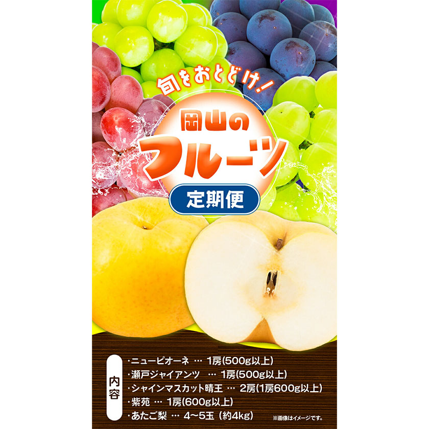 岡山県浅口市のふるさと納税 【2025年先行予約】 定期便4回コース 岡山のフルーツ ニューピオーネ 1房 瀬戸ジャイアンツ 1房 シャインマスカット 晴王 2房 紫苑 1房 あたご梨 4～5玉 化粧箱入り 株式会社山博(中本青果) 《2025年9月上旬-12月下旬頃出荷》 岡山県 浅口市 果物 送料無料【配送不可地域あり】