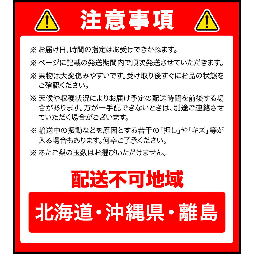 岡山県浅口市のふるさと納税 【2025年先行予約】 定期便4回コース 岡山のフルーツ ニューピオーネ 1房 瀬戸ジャイアンツ 1房 シャインマスカット 晴王 2房 紫苑 1房 あたご梨 4～5玉 化粧箱入り 株式会社山博(中本青果) 《2025年9月上旬-12月下旬頃出荷》 岡山県 浅口市 果物 送料無料【配送不可地域あり】