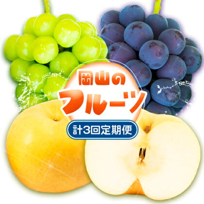 【2025年先行予約】 定期便3回コース 