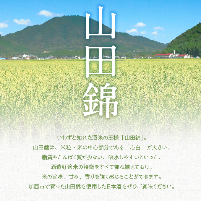 兵庫県加西市のふるさと納税 【山田錦堪能セット】 定期便 4蔵元 6種 6か月連続お届け  純米吟醸 酒 お酒 日本酒 飲みくらべ 人気