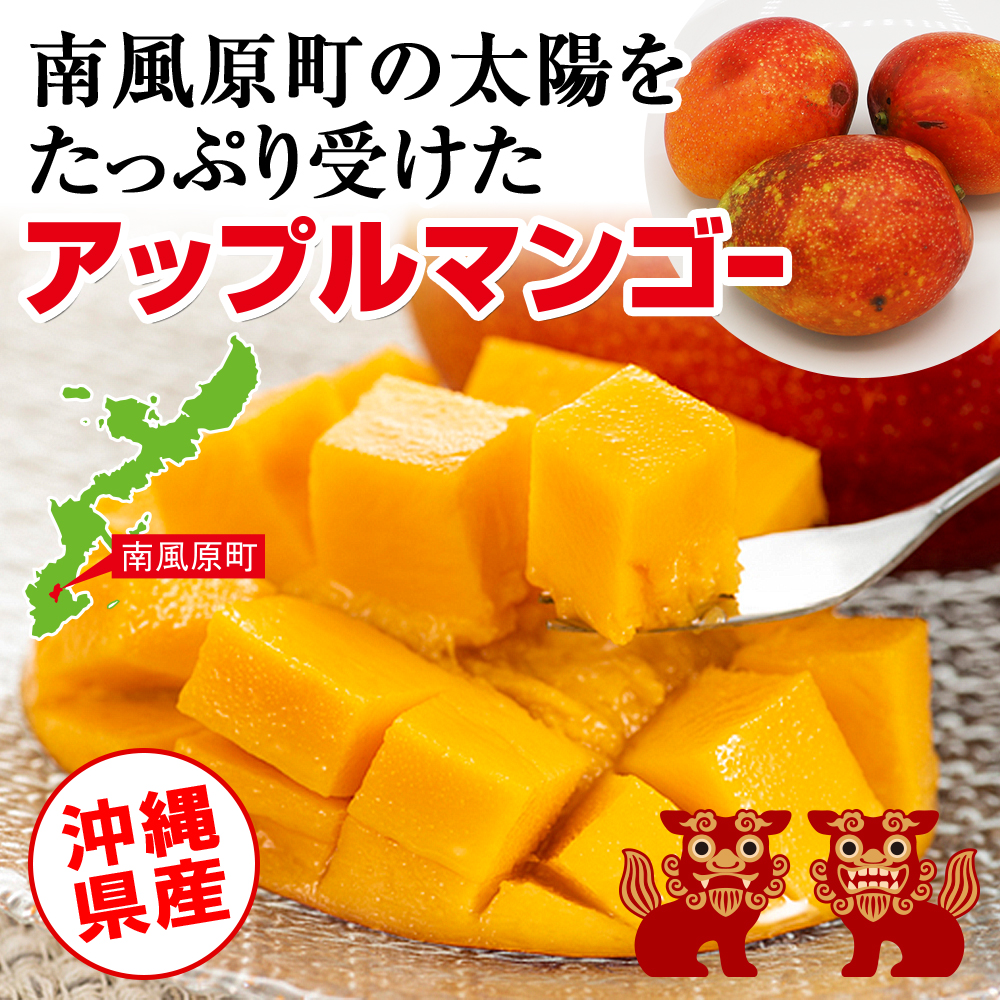 沖縄県南風原町のふるさと納税 【訳あり】2025年発送　金城農園のマンゴー1.5kg