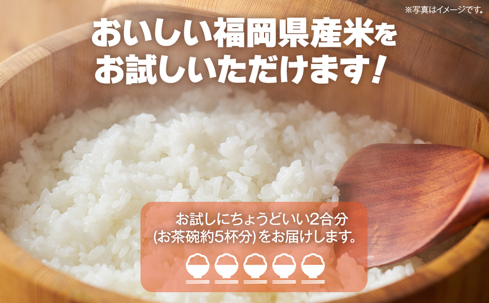 【令和5年度米】福岡県 大木町産のお米 夢つくし 白米 真空パック お試し2合 300g 福岡県 大木町 株式会社田中米穀 BC09|株式会社田中米穀