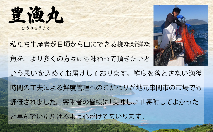 宮崎県串間市のふるさと納税 KU346 【先行予約】＜生冷凍・数量限定＞宮崎県串間産 天然伊勢エビ(計約1kg前後・2～4匹) 【豊漁丸】