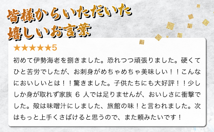 宮崎県串間市のふるさと納税 KU067 【先行予約】＜数量限定＞宮崎県串間産伊勢エビ(計約600g・1～3匹)【豊漁丸】