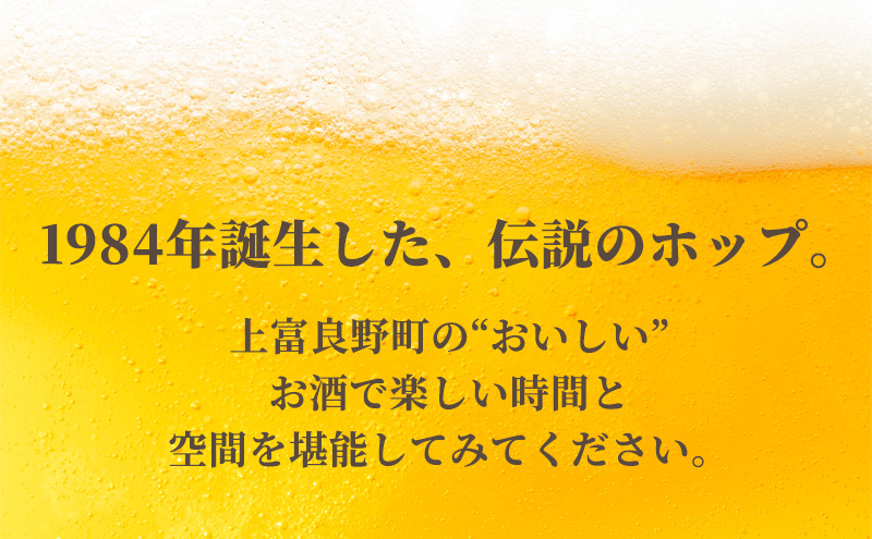 北海道上富良野町のふるさと納税 上富良野町発祥！伝説のホップ「ソラチエース」使用【SORACHI 1984】350ml×48缶 (有)リカーショップかまだ 北海道 上富良野町 ソラチ1984 お酒 酒 飲み物 ビール 地ビール サッポロビール サッポロ ギフト