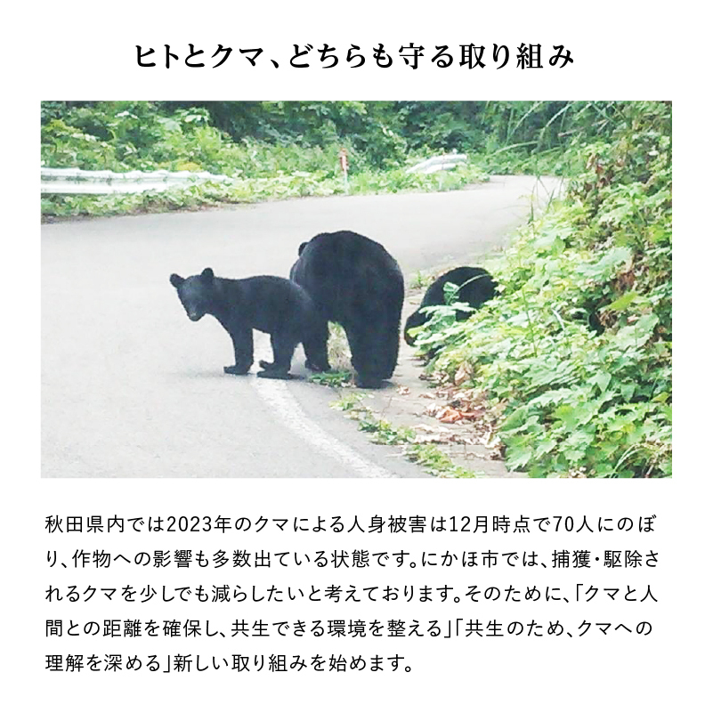 秋田県にかほ市のふるさと納税 《クマといい距離プロジェクト》寄附のみ2,000円