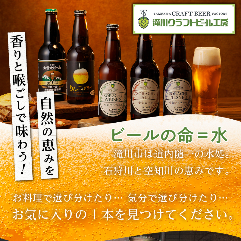 滝川クラフトビール工房 りんご＆ドライ 6本セット｜北海道 滝川市 クラフトビール ビール 酒 お酒 りんご リンゴ ドライ セット / 北海道滝川市  | セゾンのふるさと納税