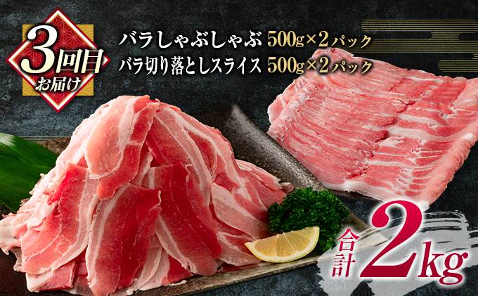 宮崎県日南市のふるさと納税 数量限定 3か月 お楽しみ 定期便 豚バラ しゃぶしゃぶ スライス ブロック 切り落とし 食べ尽くし セット 総重量6kg 肉 豚 豚肉 国産 宮崎県産 食品 おかず 送料無料_GH2-23