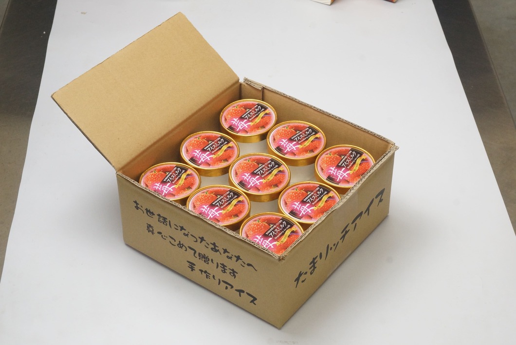 宮崎県串間市のふるさと納税 AQ-A3 串間市産イチゴ使用！いちごアイス詰合せ(9個)【たまたまクラブ】【AQ-A3】