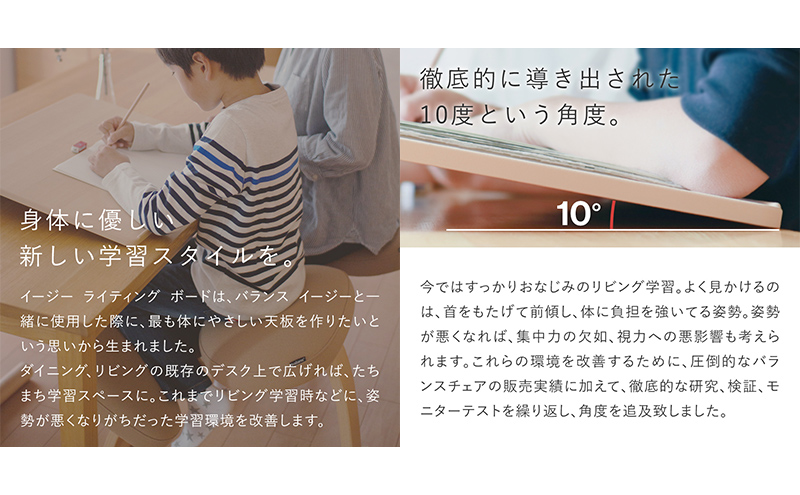 岐阜県美濃市のふるさと納税 バランス イージー(カバーなし)とイージーライティングボードMのセット