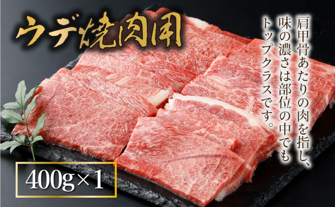 宮崎県串間市のふるさと納税 KU318 宮崎牛焼肉セット 計1.2kg