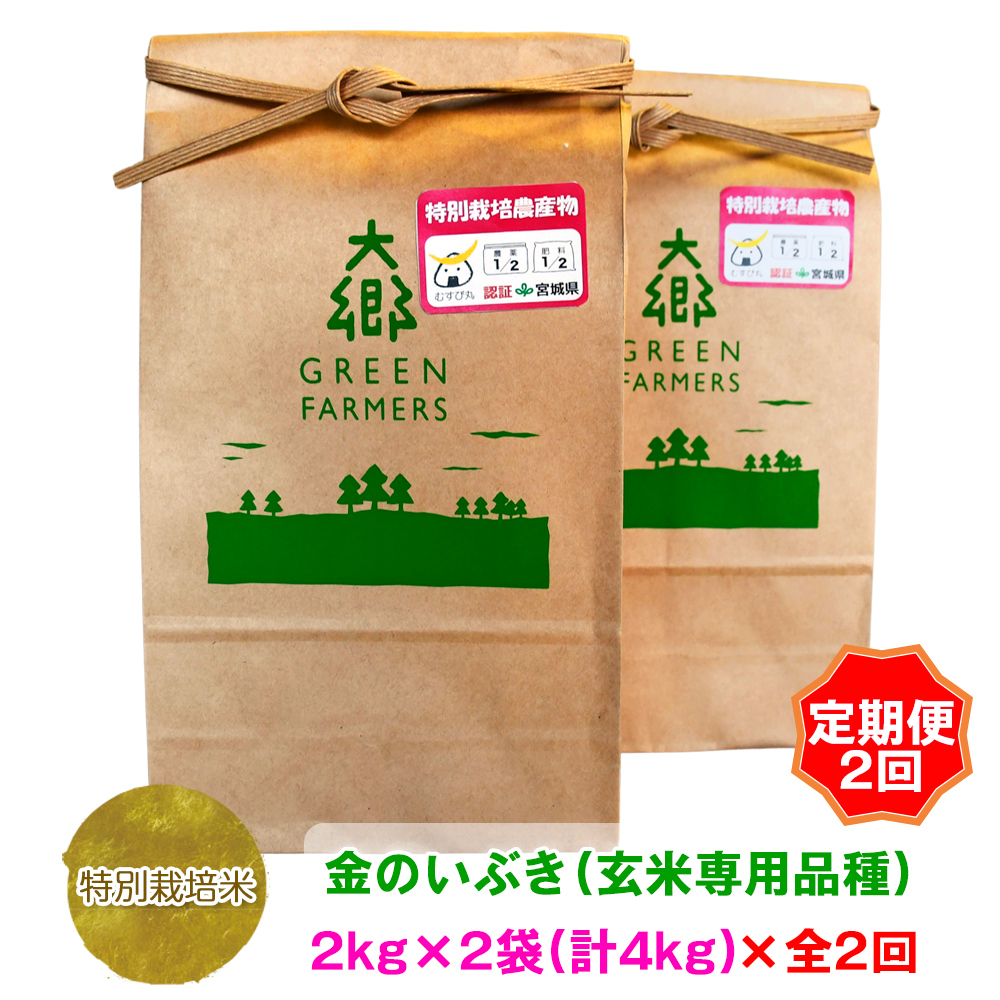 [定期便 2ヵ月連続お届け] 令和5年産 特別栽培米 金のいぶき(玄米専用品種) 2kg×2袋 (計4kg)｜宮城県 大郷町産 ごはん 玄米食 お米  米 [0150]|