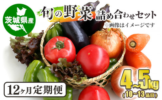 【茨城県守谷市】【定期便】 旬の野菜詰め合わせセット 毎月12ヶ月