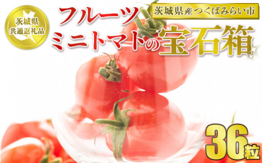 【茨城県守谷市】【先行予約】【茨城県共通返礼品 つくばみらい市産】フルーツミニトマトの宝石箱 36粒※2026年1月〜3月下旬頃に順次発送予定