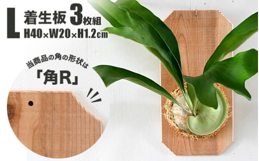 y錧JszyzLTCY 3gup̌`FpRv