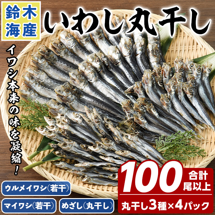 いわし 図1_1701055775847_400.png