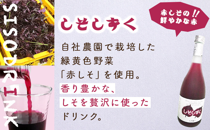 宮崎県串間市のふるさと納税 KU101 驚きの果実感！ 宮崎果汁オススメセット(720ml×6本) 【宮崎果汁】