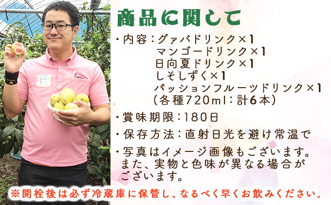 宮崎県串間市のふるさと納税 KU101 驚きの果実感！ 宮崎果汁オススメセット(720ml×6本) 【宮崎果汁】