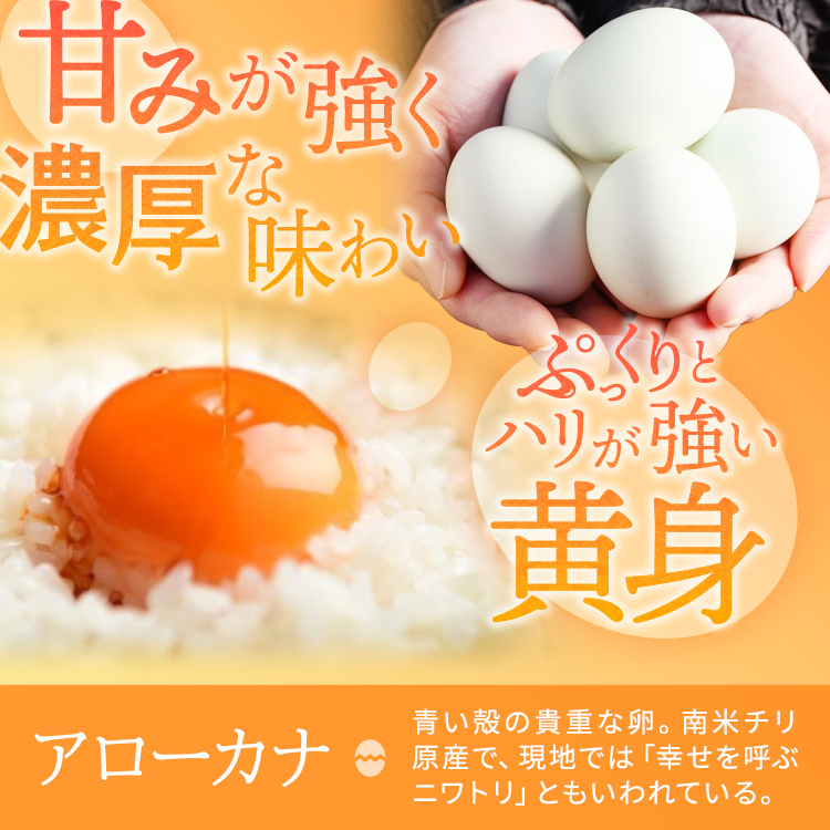 関匠卵 ひびき+アローカナハーフセット（計20個） ※北海道・沖縄・離島