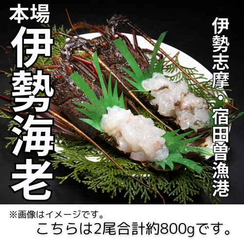 冷凍） 伊勢志摩産 活〆伊勢海老 2尾 姿造り 生食用 （L） ／ 丸池 ...