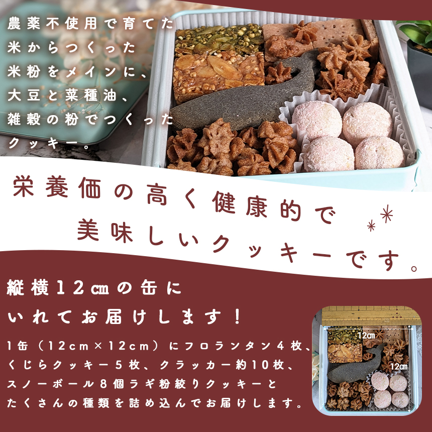 ヴィーガン＆グルテンフリー 米粉と雑穀のクッキー缶 / 宮崎県五ヶ瀬町 | セゾンのふるさと納税