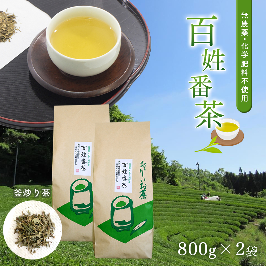 無農薬・化学肥料不使用 百姓番茶（釜炒り茶）2袋セット / 宮崎