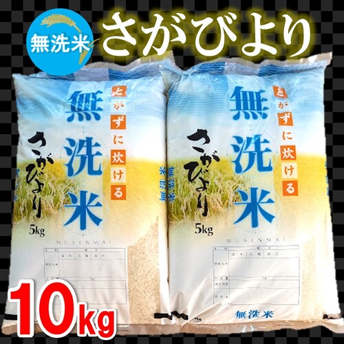 4月発送】令和5年産 さがびより 無洗米 5kg×2 【ふるさと納税 国産