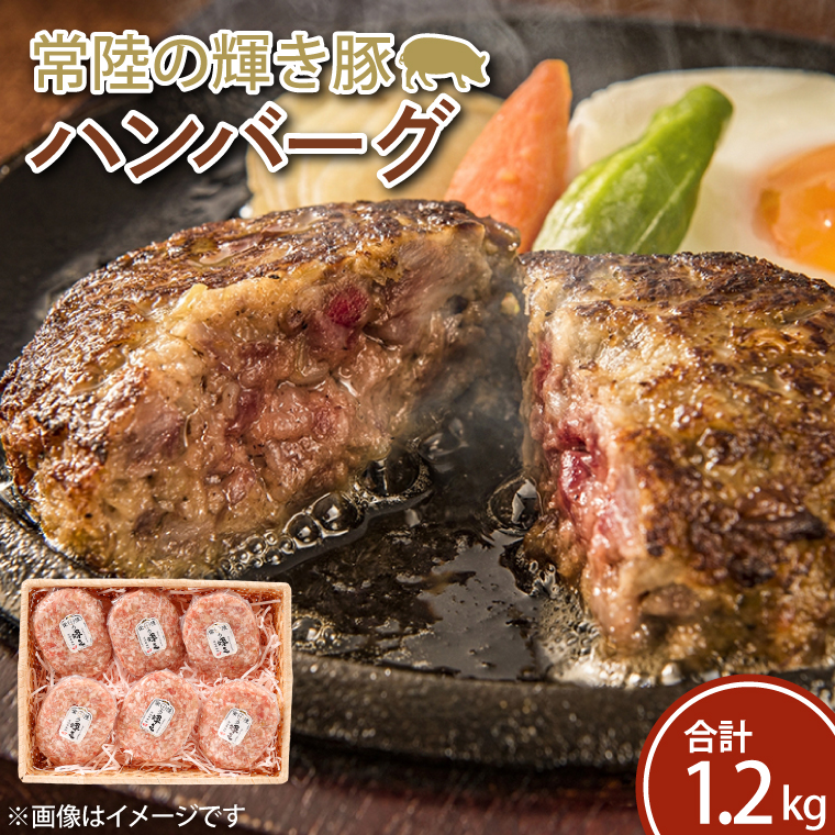 【茨城県行方市】FQ-1 常陸の輝き豚ハンバーグ 約200g×6パック