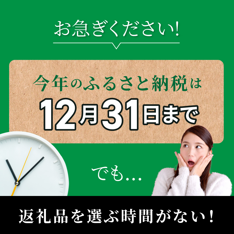 宮崎県延岡市のふるさと納税 あとからセレクト10万円 N0159-YG0127