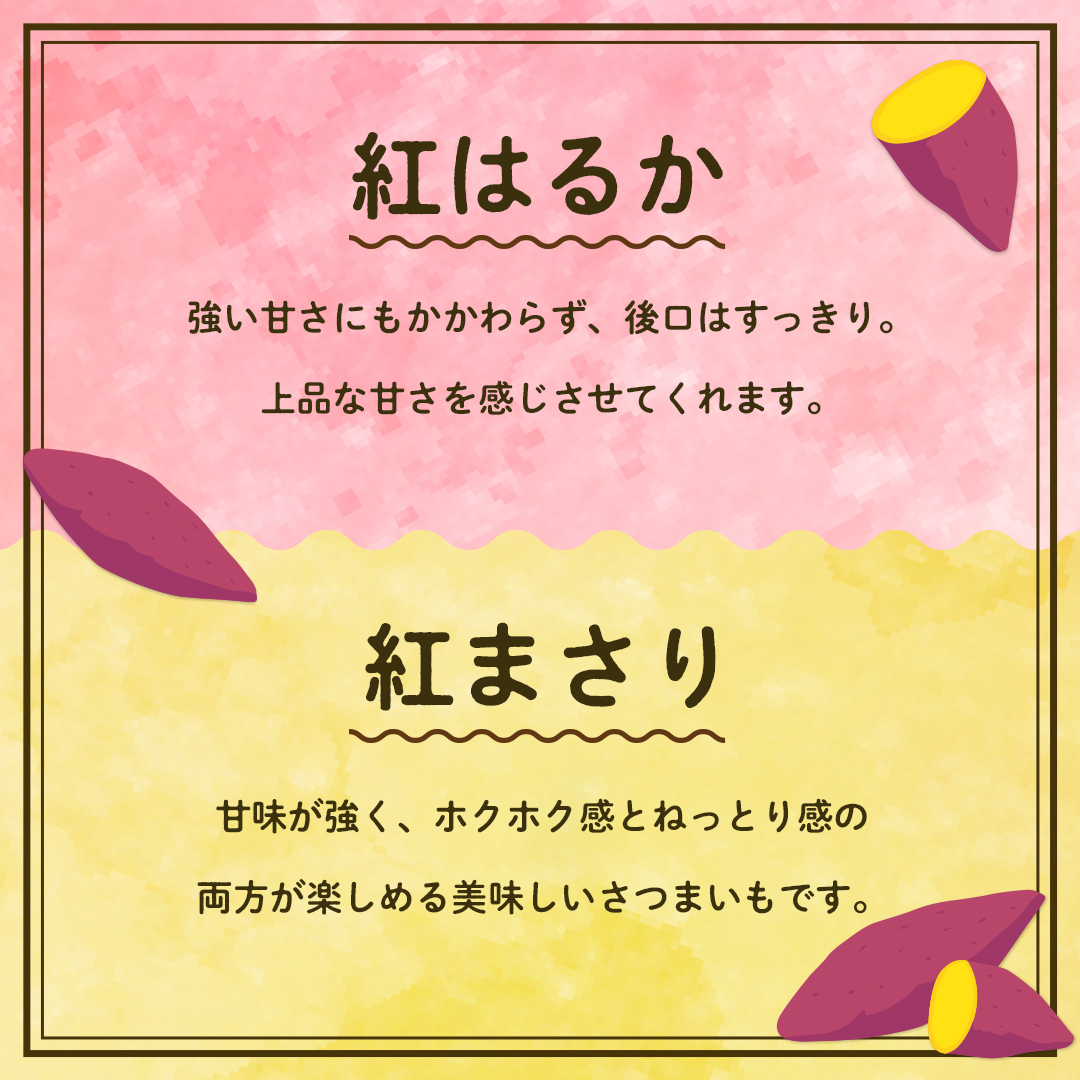 茨城県つくばみらい市のふるさと納税 【 先行予約 】 茨城県産 紅はるか／紅まさり 食べ比べ 合計 3kg サイズS～2L さつまいも サツマイモ 紅はるか 紅まさり [EG02-NT]