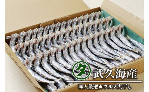 【愛媛県愛南町】ウルメ丸干し 14〜15尾 5〜6竿 鰯 いわし おつまみ 珍味 魚 海鮮 グルメ ギフト 酒 ビール 日本酒 焼酎 贈り物 国産 愛媛 愛南町