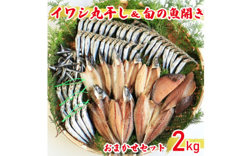 yQ쒬zy󂠂z̊ۊJ ܂Zbg2kg  CN  Ђ ۊ ؂g ܂  lC  O KiO Y vCY Q 