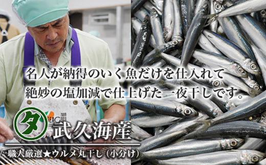 訳あり】魚の丸干し&開き おまかせセット2kg 魚 海鮮 干物 ひも 訳あり】魚の丸干し&開き おまかせセット2kg 魚 海鮮 干物 ひも