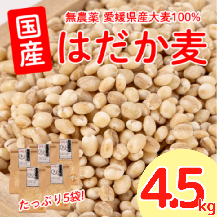 【愛媛県愛南町】はだか麦 900g 5個セット