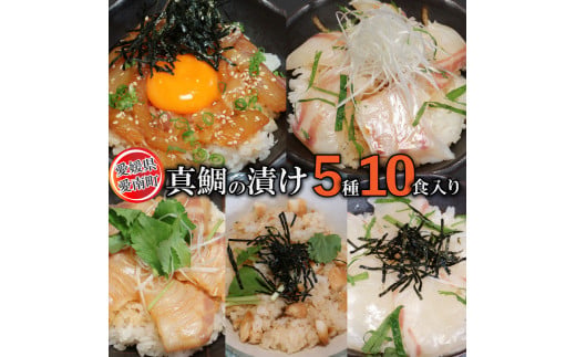 【愛媛県愛南町】愛南 真鯛の漬けセット 5種 各2パック 合計 10パック 鯛 タイ 鯛めし 海鮮 刺身 さしみ 調理不要 丼 どんぶり 漁師めし 冷凍 小分け パック ギフト プレゼント 贈り物 贈答 愛南サン・フィッシュ