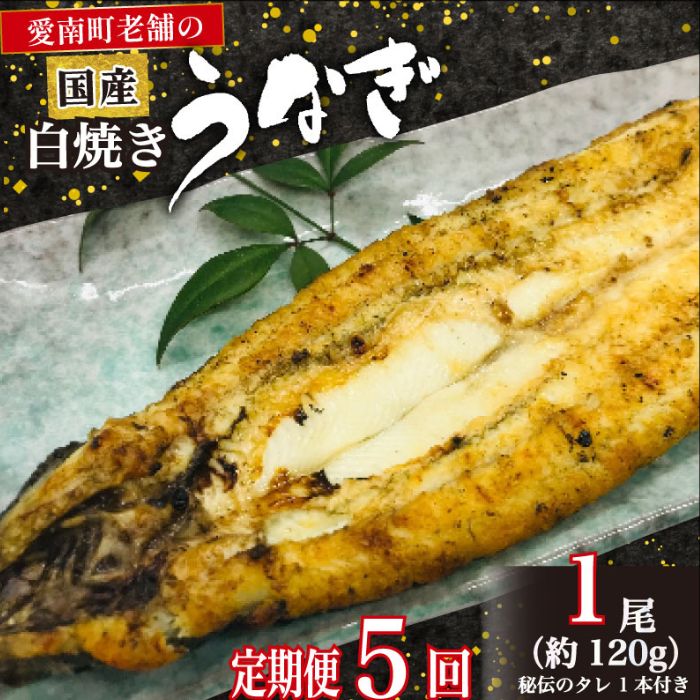 【愛媛県愛南町】定期便 5回 うなぎ 白焼 約120g 1本 鰻 老舗 亀一 手焼き タレ セット