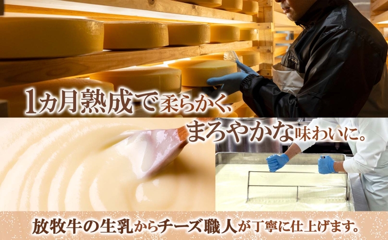 北海道足寄町のふるさと納税 北海道 ゴーダチーズ 300g×2個 チーズ 十勝チーズ セミハードチーズ 生乳 ミルク 熟成 濃厚 まろやか とろける おつまみ お取り寄せ あしょろチーズ工房 送料無料