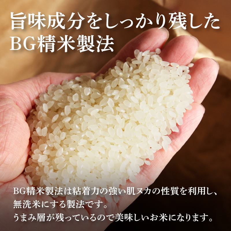 玄米 コシヒカリ 10kg(5kg×2) 福井県産 令和6年産｜玄米 |｜最短
