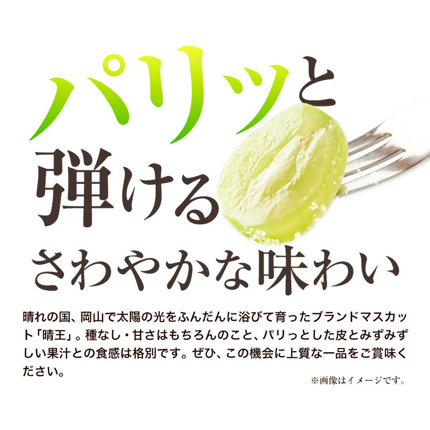 岡山県浅口市のふるさと納税 シャインマスカット 晴王 岡山県産 定期便 2ヶ月 9月・10月発送 [2025年先行予約]《9月中旬-10月末頃出荷(土日祝除く)》1房 700g ハレノスイーツ 岡山中央卸売市場店 岡山県 浅口市 【配送不可地域あり】
