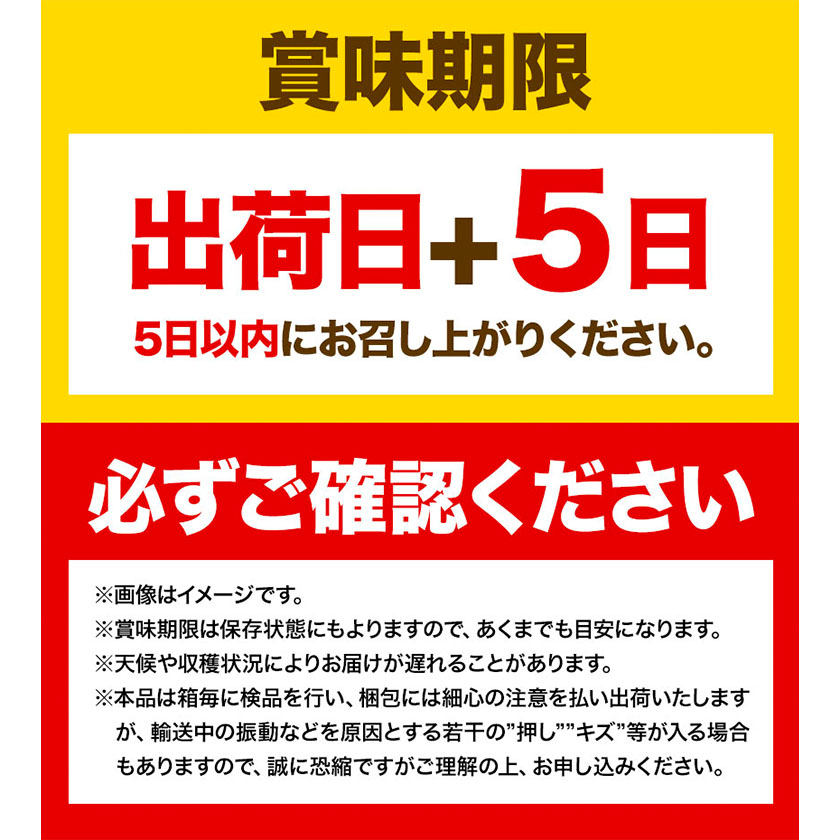 岡山県浅口市のふるさと納税 シャインマスカット 晴王 岡山県産 定期便 2ヶ月 9月・10月発送 [2025年先行予約]《9月中旬-10月末頃出荷(土日祝除く)》1房 700g ハレノスイーツ 岡山中央卸売市場店 岡山県 浅口市 【配送不可地域あり】