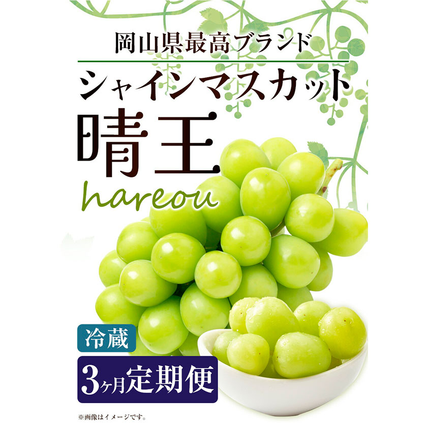 シャインマスカット 晴王 岡山県産 定期便 3ヶ月 9月・10月・11月 発送