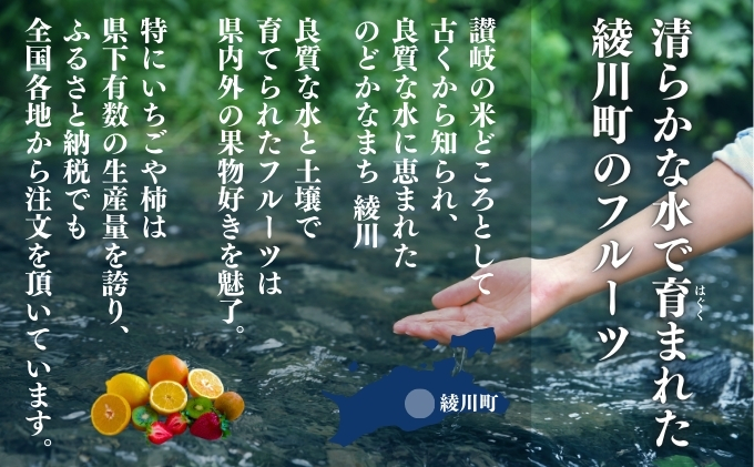 香川県綾川町のふるさと納税 特産 フルーツ 定期便 （年3回）