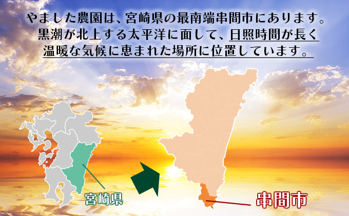 宮崎県串間市のふるさと納税 AE-BC1 ＜先行予約＞糖度15度以上の宮崎完熟マンゴー(2L×2玉入・贈答用)  ＜ギフト用＞【やました農園】