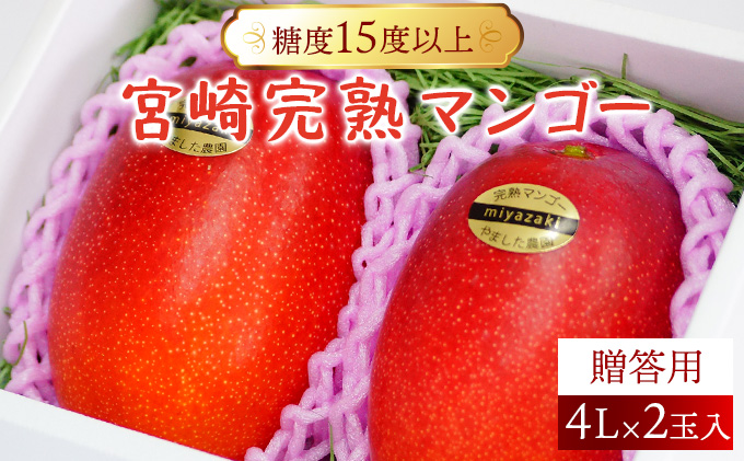 AE-CD2 ＜先行予約＞糖度15度以上の宮崎完熟マンゴー(4L×2玉入・贈答用 