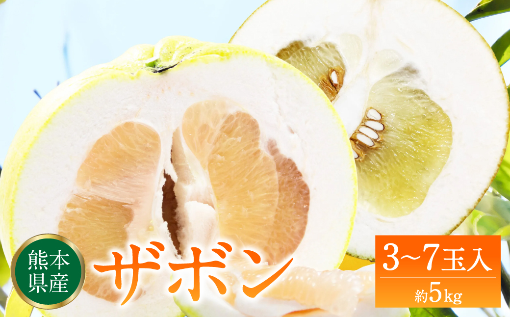 ザボン確認用 ザボン確認用