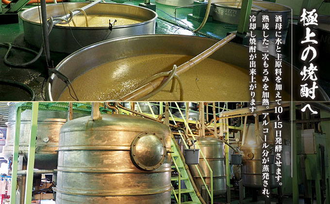本格焼酎 飫肥杉 原酒 孤独な天使 飲み比べ セット 合計2本